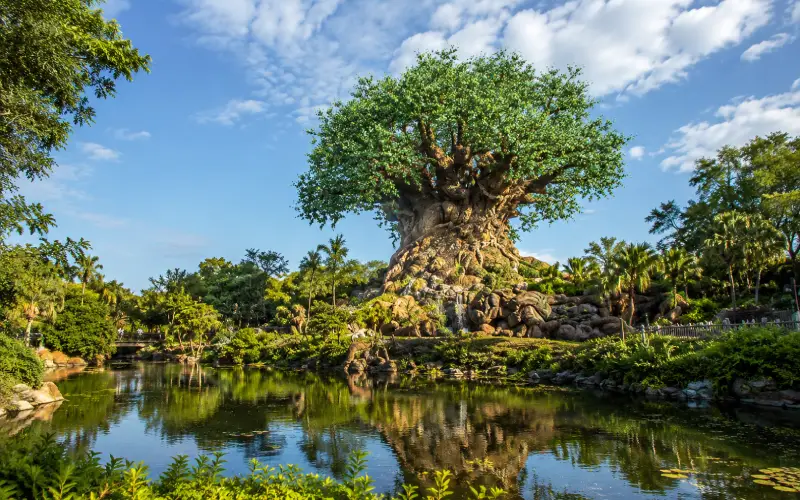 Animal Kingdom