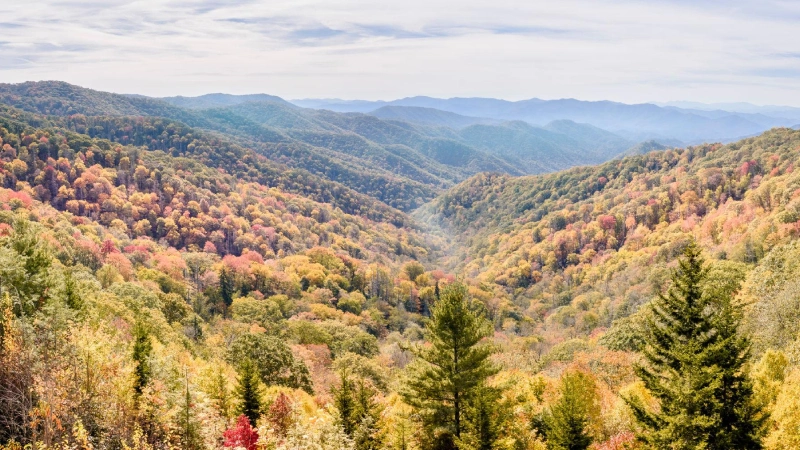 Great Smoky Mountains or Shenandoah