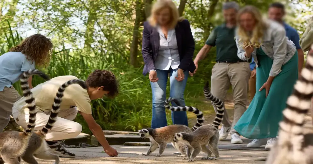 Best Safari Parks in Europe – Complete Guide for Wildlife Lovers 
