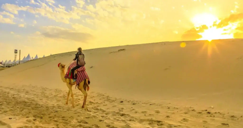 Morning vs Evening Desert Safari Dubai: Which Is Better Value