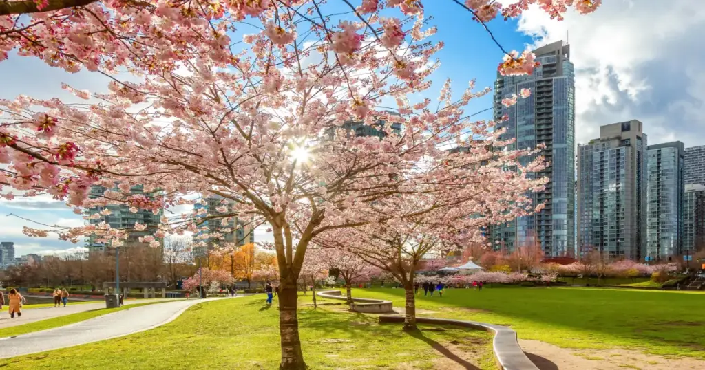 Ontario and Quebec - Fall Colours and City Culture