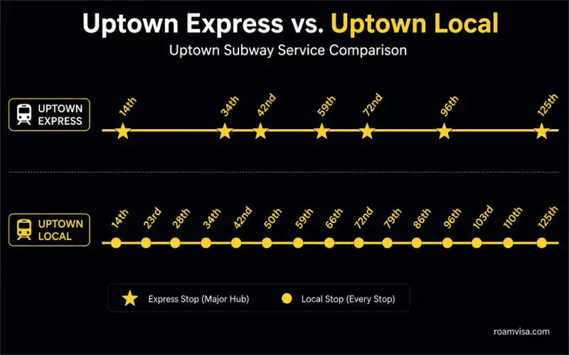 NYC subway express versus local train comparison showing express trains skipping stations and local trains stopping at every stop on parallel tracks