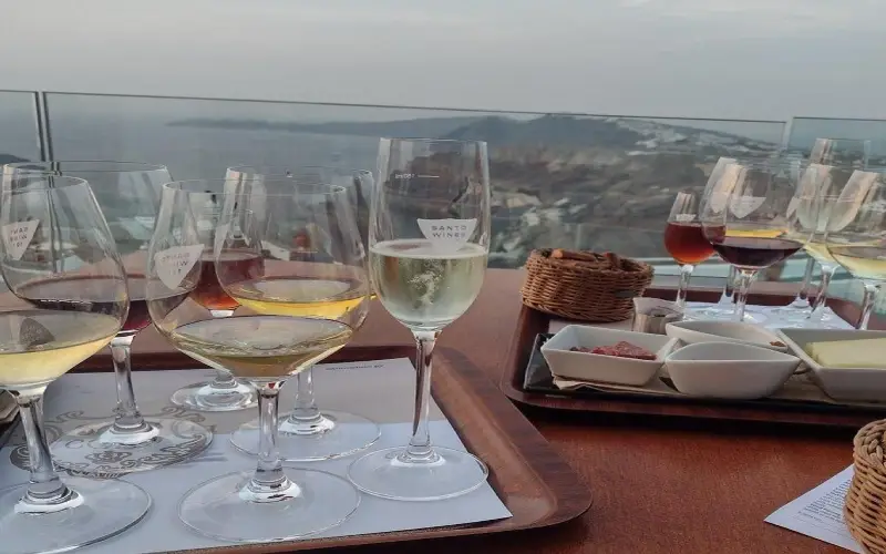Wine tasting experience at a Santorini winery with vineyard terraces and caldera views