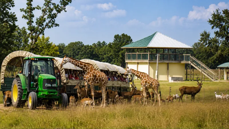 Global Wildlife Center