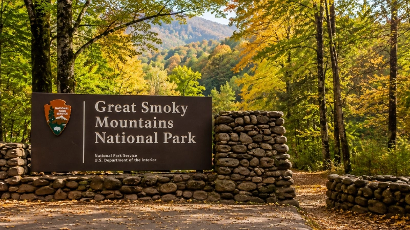 Great Smoky Mountains - Best for East Coast Families