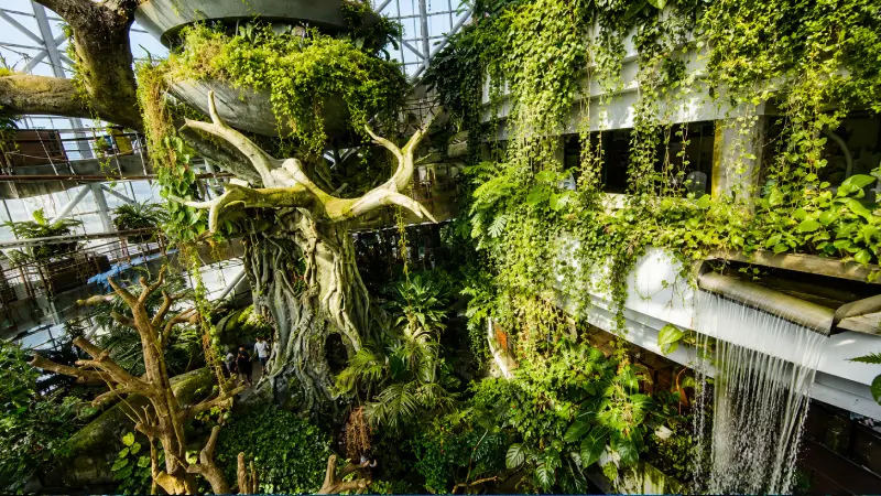 Green Planet Dubai