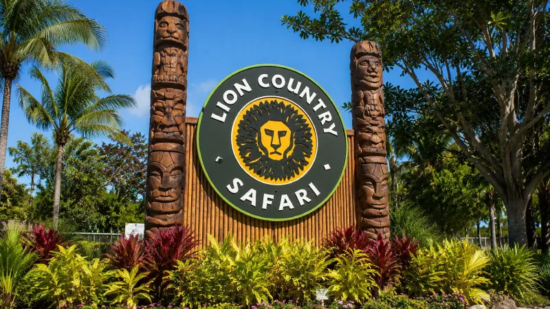 Lion Country Safari - Florida