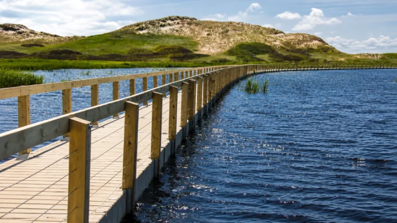Wooden boardwalk winding through sand dunes in Prince Edward Island National Park 