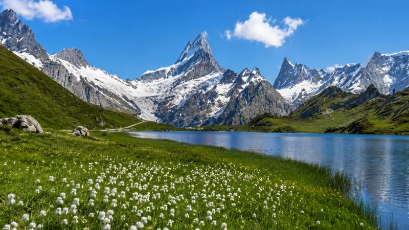 Swiss Alps, SwitzerlandSwiss Alps, Switzerland