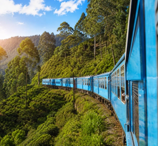 Train Travel
