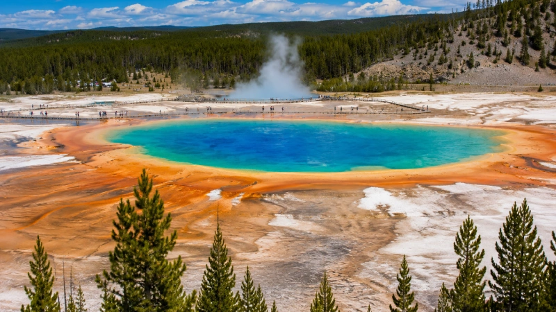 Yellowstone - The Ultimate Wildlife Science Lab for Kids