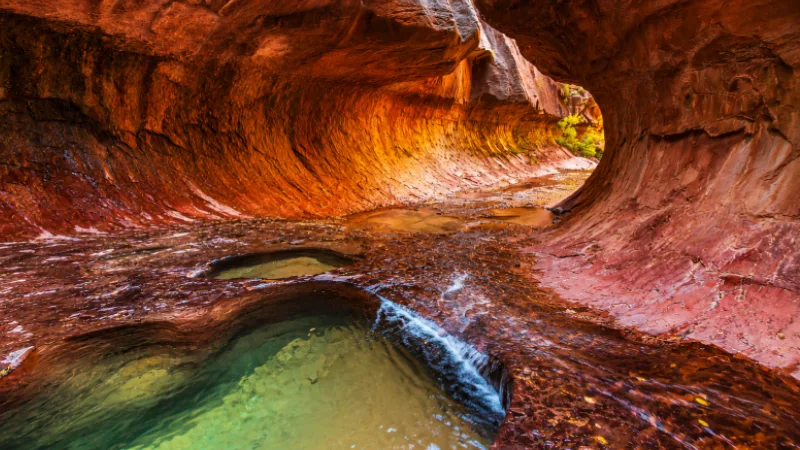 Zion National Park - The Standout