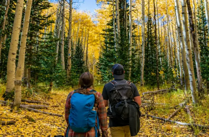Best Honeymoon Destinations in USA