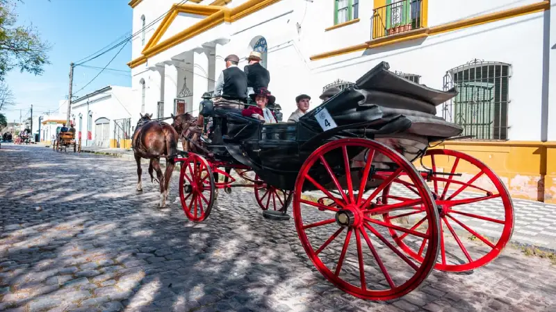 Horse-drawn carriage touring a historic street in Charleston