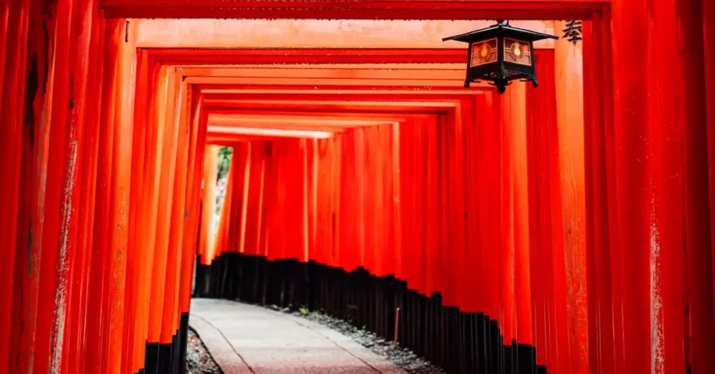 ows of red torii gates at Fushimi Inari Shrine in Kyoto in early morning light