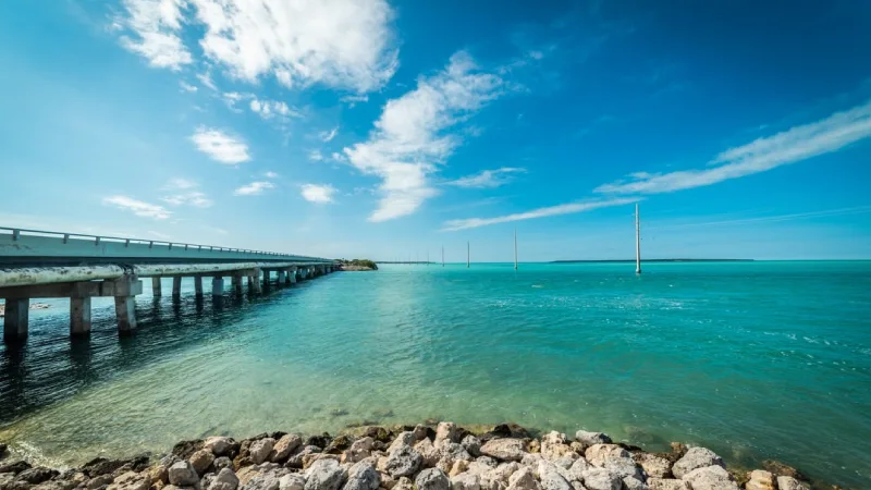 Turquoise water and palm trees along the coast in Islamorada Florida Keys 