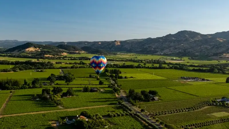 Hot air balloon floating over vineyards in Napa Valley