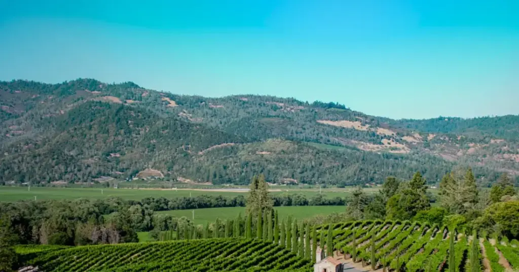 Best Honeymoon Spots in the US And Golden light over a vineyard in Napa Valley at sunset