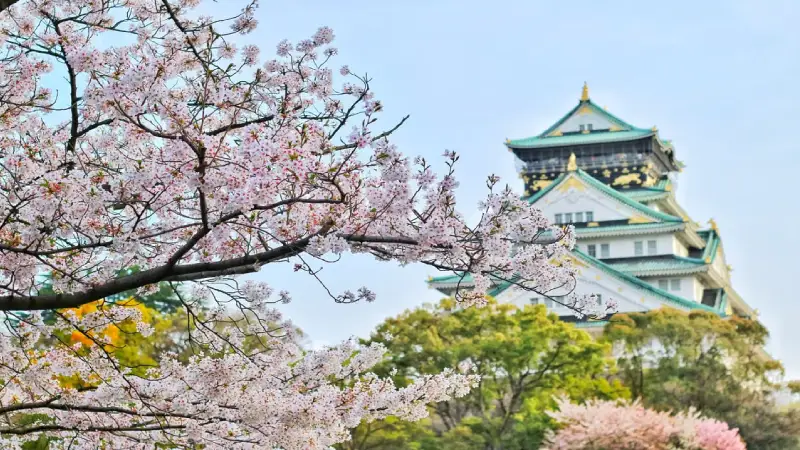 Osaka Castle surrounded by park grounds and seasonal blossoms