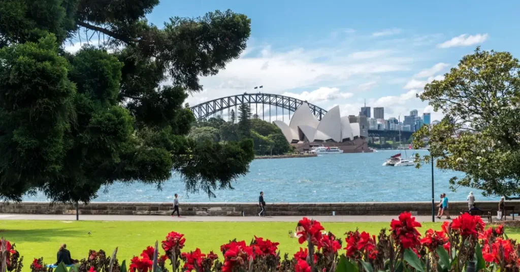 Weather in Australia in September Spring blossoms along Sydney Harbour under a clear blue sky 