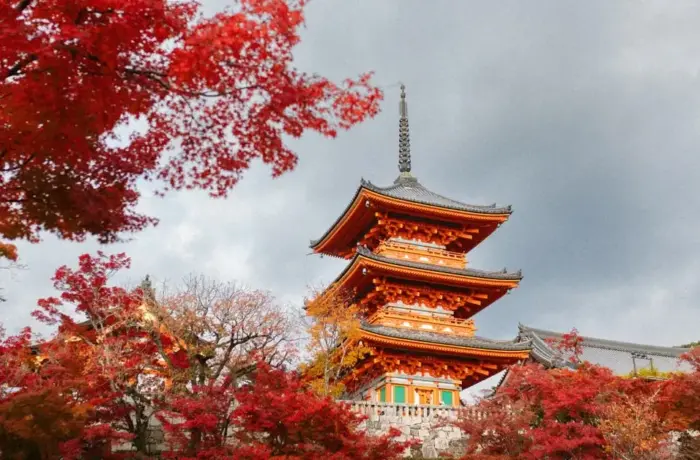 Best Time To Visit Japan: A Season By Season Guide (2026)