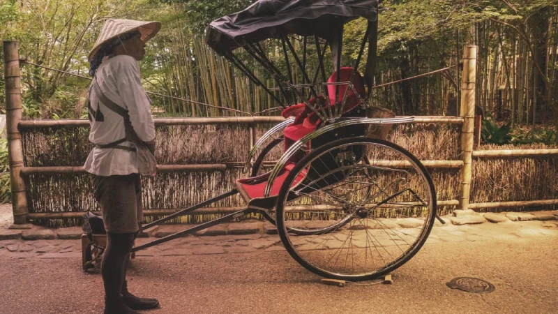Traditional rickshaw ride through a bamboo grove in Kyoto