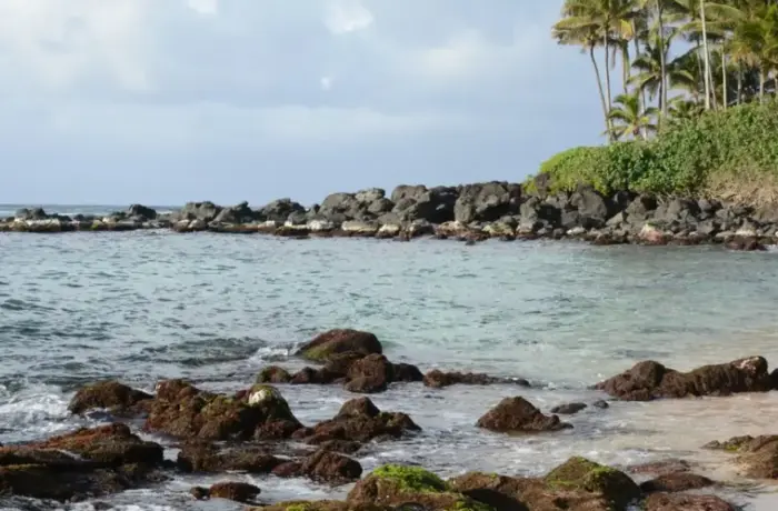 Craigslist Big Island 2026: The Complete Guide