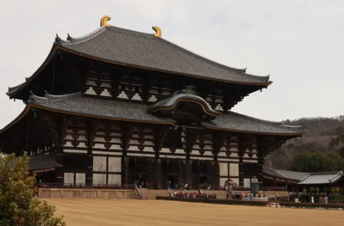 Nara Deer Park 2026: The Real Guide To Feeding, Bowing, And Staying Safe