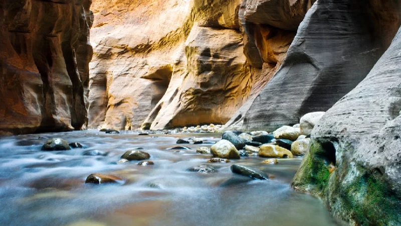 Hikers walking through the Virgin River in Zion National Park's Narrows 