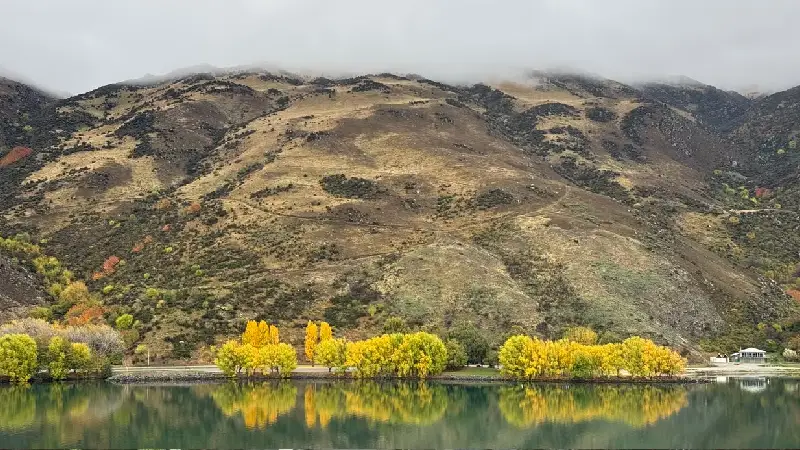 Golden autumn foliage in Central Otago, New Zealand