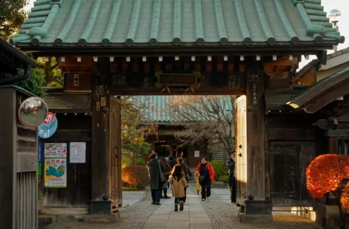 Japan Tours For Seniors: The Complete 2026 Planning Guide