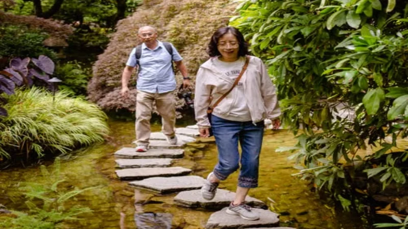 Seniors taking a slow, relaxed walk through a Japanese garden