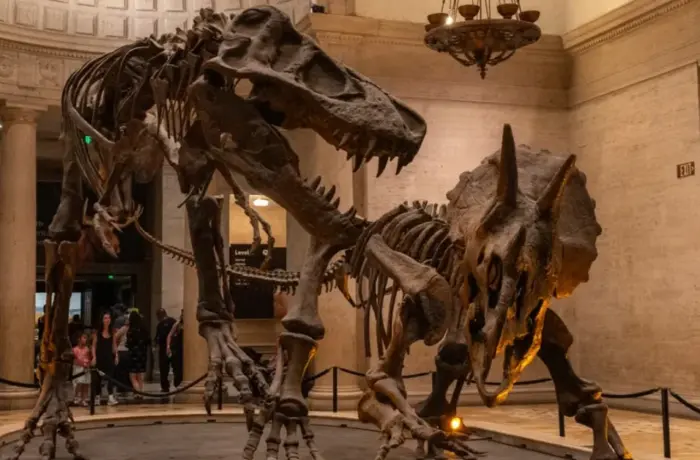 Best Family Attractions In London For Kids 2026: A Real Parent’s Guide